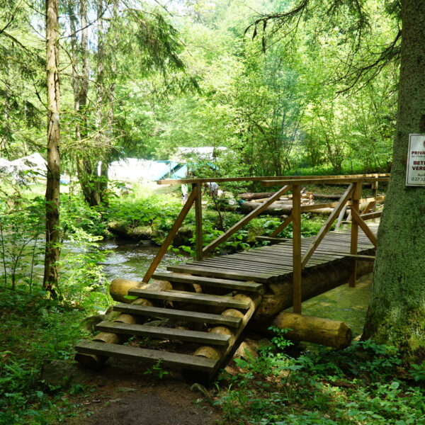 Hartenstein_01