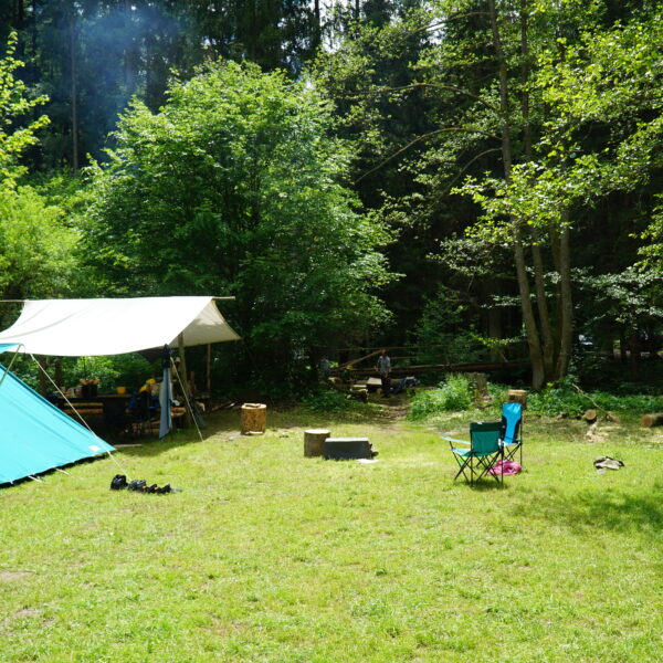 Hartenstein_04
