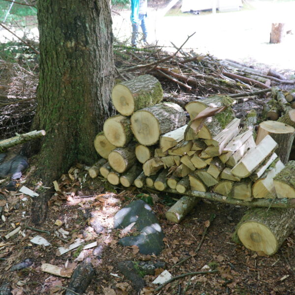 Hartenstein_09
